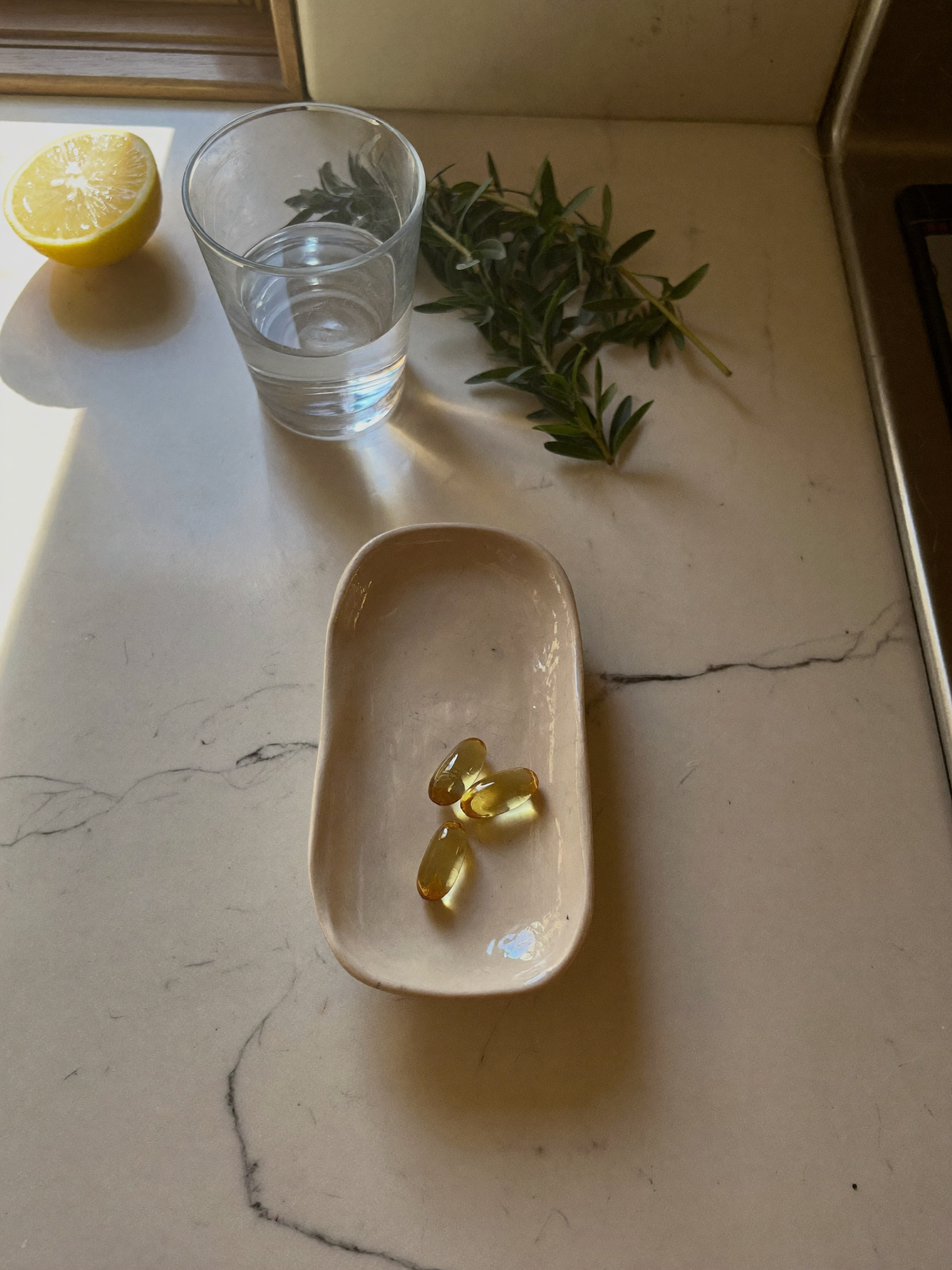 Oil of Oregano + Black Seed — 85% Carvacrol Softgels